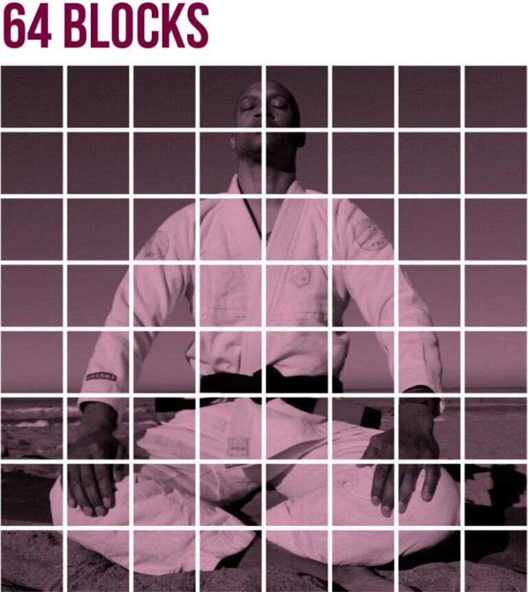 64 BLOCKS chess & BJJ