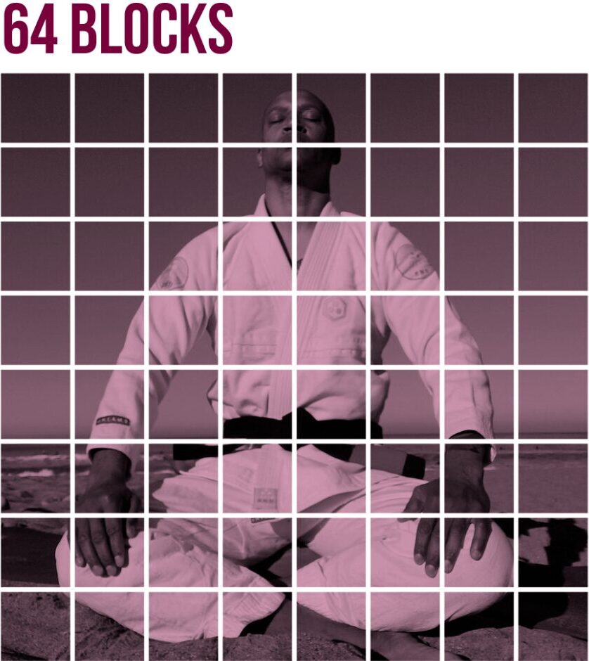 64 BLOCKS chess & BJJ