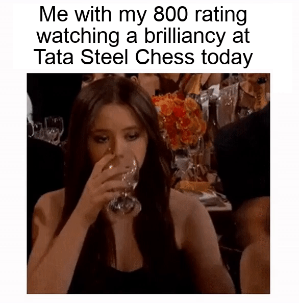 800 elo watching Chess GM play