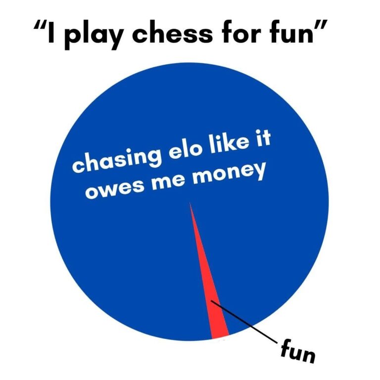 I Play Chess For Fun